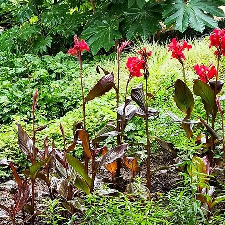Samuel Centre Les Herbiers, 10 Min Du Puy Du Fou Appartement Les Herbiers