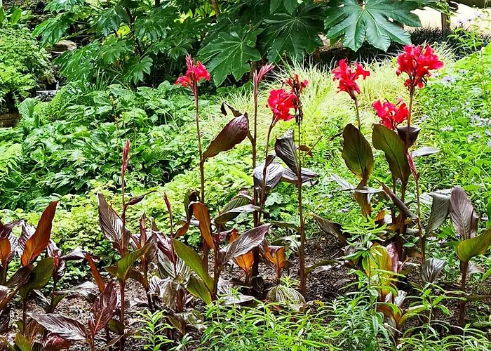 Samuel Centre Les Herbiers, 10 Min Du Puy Du Fou Appartement Les Herbiers